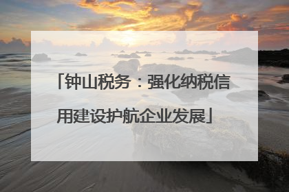 钟山税务：强化纳税信用建设护航企业发展