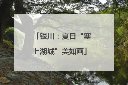 银川：夏日“塞上湖城”美如画