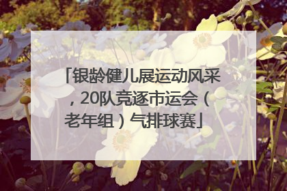 银龄健儿展运动风采，20队竞逐市运会（老年组）气排球赛