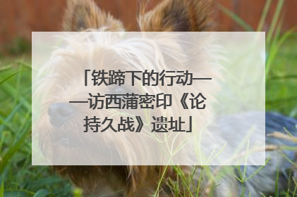 铁蹄下的行动——访西蒲密印《论持久战》遗址
