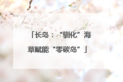 长岛：“驯化”海草赋能“零碳岛”