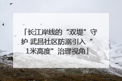 长江岸线的“双堤”守护 武昌社区防溺引入“1米高度”治理视角