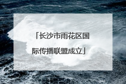 长沙市雨花区国际传播联盟成立