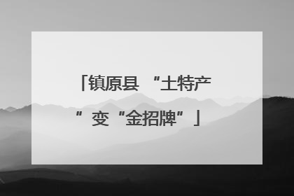 镇原县 “土特产”变“金招牌”