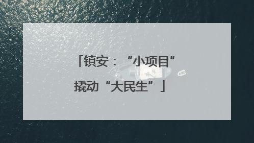 镇安：“小项目”撬动“大民生”