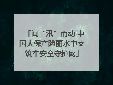 闻“汛”而动 中国太保产险丽水中支筑牢安全守护网