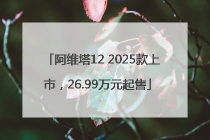 阿维塔12 2025款上市，26.99万元起售