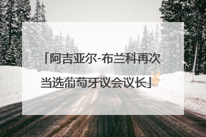 阿吉亚尔-布兰科再次当选葡萄牙议会议长