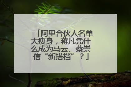 阿里合伙人名单大瘦身，蒋凡凭什么成为马云、蔡崇信“新搭档”？