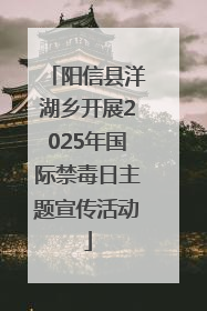 阳信县洋湖乡开展2025年国际禁毒日主题宣传活动