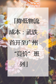 降低物流成本：武铁首开至广州“竞价”班列