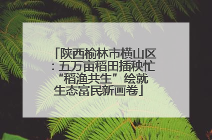 陕西榆林市横山区：五万亩稻田插秧忙 “稻渔共生”绘就生态富民新画卷