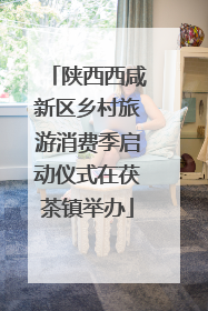 陕西西咸新区乡村旅游消费季启动仪式在茯茶镇举办