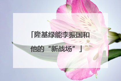 隆基绿能李振国和他的“新战场”
