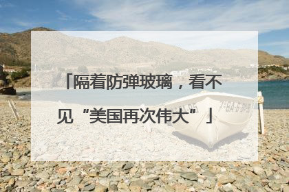 隔着防弹玻璃，看不见“美国再次伟大”