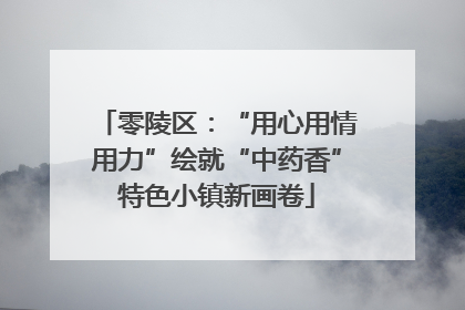 零陵区：“用心用情用力”绘就“中药香”特色小镇新画卷