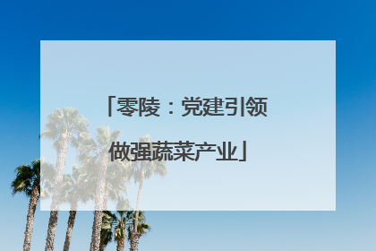零陵：党建引领 做强蔬菜产业