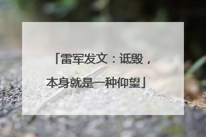 雷军发文：诋毁，本身就是一种仰望