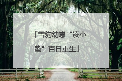 雪豹幼崽“凌小蛰”百日重生