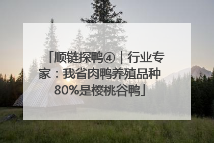顺链探鸭④｜行业专家：我省肉鸭养殖品种80%是樱桃谷鸭