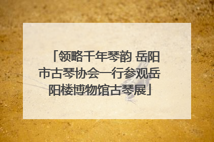 领略千年琴韵 岳阳市古琴协会一行参观岳阳楼博物馆古琴展
