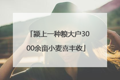 颍上一种粮大户3000余亩小麦喜丰收