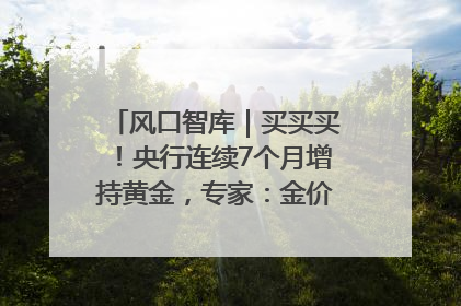 风口智库｜买买买！央行连续7个月增持黄金，专家：金价或仍易涨难跌