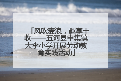 风吹麦浪，趣享丰收——五河县申集镇大李小学开展劳动教育实践活动
