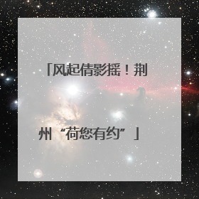 风起倩影摇！荆州“荷您有约”