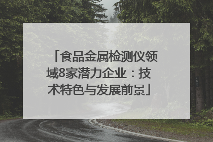 食品金属检测仪领域8家潜力企业：技术特色与发展前景