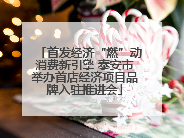首发经济“燃”动消费新引擎 泰安市举办首店经济项目品牌入驻推进会