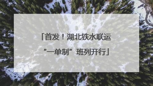首发！湖北铁水联运“一单制”班列开行