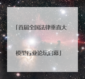 首届全国法律垂直大模型行业论坛启幕
