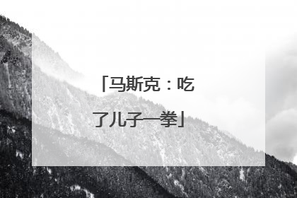 马斯克：吃了儿子一拳