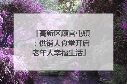 高新区顾官屯镇：供销大食堂开启老年人幸福生活