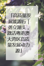 高质量发展能源行｜勇立潮头，激活粤港澳大湾区高质量发展动力源
