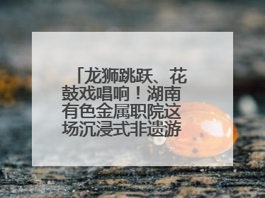 龙狮跳跃、花鼓戏唱响！湖南有色金属职院这场沉浸式非遗游园活动很带感