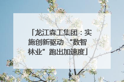 龙江森工集团：实施创新驱动 “数智林业”跑出加速度