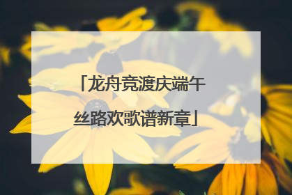 龙舟竞渡庆端午 丝路欢歌谱新章