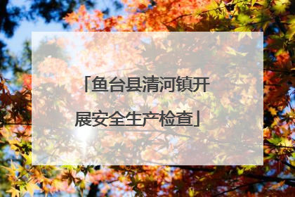 鱼台县清河镇开展安全生产检查