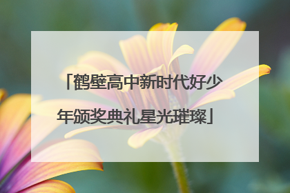 鹤壁高中新时代好少年颁奖典礼星光璀璨
