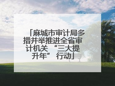麻城市审计局多措并举推进全省审计机关 “三大提升年” 行动