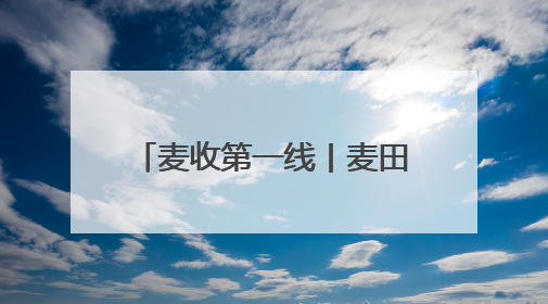 麦收第一线丨麦田里的科技接力赛