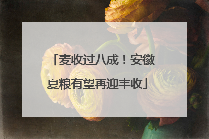 麦收过八成！安徽夏粮有望再迎丰收