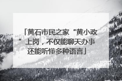 黄石市民之家“黄小政”上岗，不仅能聊天办事还能听懂多种语言