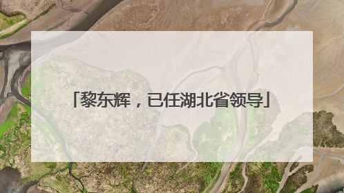 黎东辉，已任湖北省领导