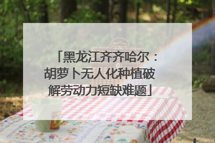 黑龙江齐齐哈尔：胡萝卜无人化种植破解劳动力短缺难题