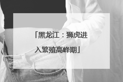 黑龙江：狮虎进入繁殖高峰期
