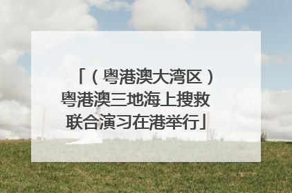 （粤港澳大湾区）粤港澳三地海上搜救联合演习在港举行