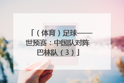 （体育）足球——世预赛：中国队对阵巴林队（3）